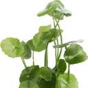 MyGift Artificial Plants Indoor, Set of 3 Small Fake Potted Plants, Faux House Plant for Home Decor