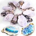 12Pcs 3"-4" Oyster Shells for Crafts Natural Large Oyster Shells for DIY Crafting Christmas Ornaments Decoupage Beach Decor Arts and Crafts Bulk Clam for Chicken