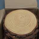 8Pcs Large Wood Centerpieces for Tables, 8-9 Inches Rustic Wood Slices for Centerpieces, Natural Wooden Centerpieces for Tables Wedding, Party, Rustic Decor, Art Creation