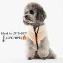 Small Dog Plush Fleece Coat, Soft Warm Cozy Winter Sweater Jacket Vest Clothes for Puppy Chihuahua Poodle Yorkie Pomeranian (Beige, 2XL)