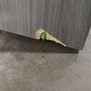 OfficeWorks by Sauder Affirm 2-Drawer Moblie File, L: 15.55'' x W: 19.45'' x H: 28.43'', Hudson Elm