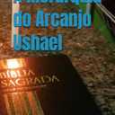 A Hierarquia do Arcanjo Ushael (Srie Anjos da Luz) (Portuguese Edition) Paperback