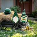 TERESA'S COLLECTIONS St. Patricks Decorations Outdoor for Home, 2Pcs Metal Gnome Decor Garden Stakes, Saint Patricks Yard Art Welcome Signs Gifts, Luck of The Irish Decor Yard Lawn Porch, 23" (Medium, Green)