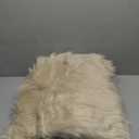 EasyJoy Ultra Soft Fluffy Shaggy Area Rug Faux Fur Rug Chair Cover Seat Pad Fuzzy Area Rug for Bedroom Floor Sofa Living Room (4 x 6 ft Rectangle, Beige)