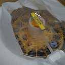 Egg Incubator for Hatching Eggs