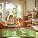 Plug in Refills Air Freshener  12 Pack Wall Plug-In Refill, Dreamy Marshmallow, Sicilian Lemon, Golden Apple, Vanilla Cake, 7.92 Fl Oz, Compatible with Air Wick & Glade, Not Include Glade Plus