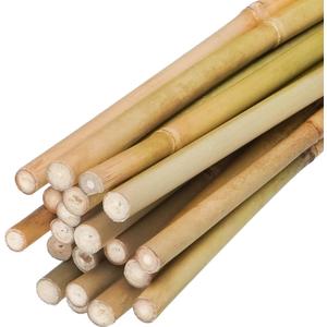 Natural Bamboo Plant Stake（Approx 5FT 50Pcs） Sturdy Bamboo Poles, Durable Plant Bamboo Stake, Garden Climbing Plant Bracket.