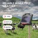 S1000 1 Joule Solar Fence Charger, 40 Miles Solar Electric Fence Charger for Livestock, Horses, Cattle Sheep, Portable and Super Tough