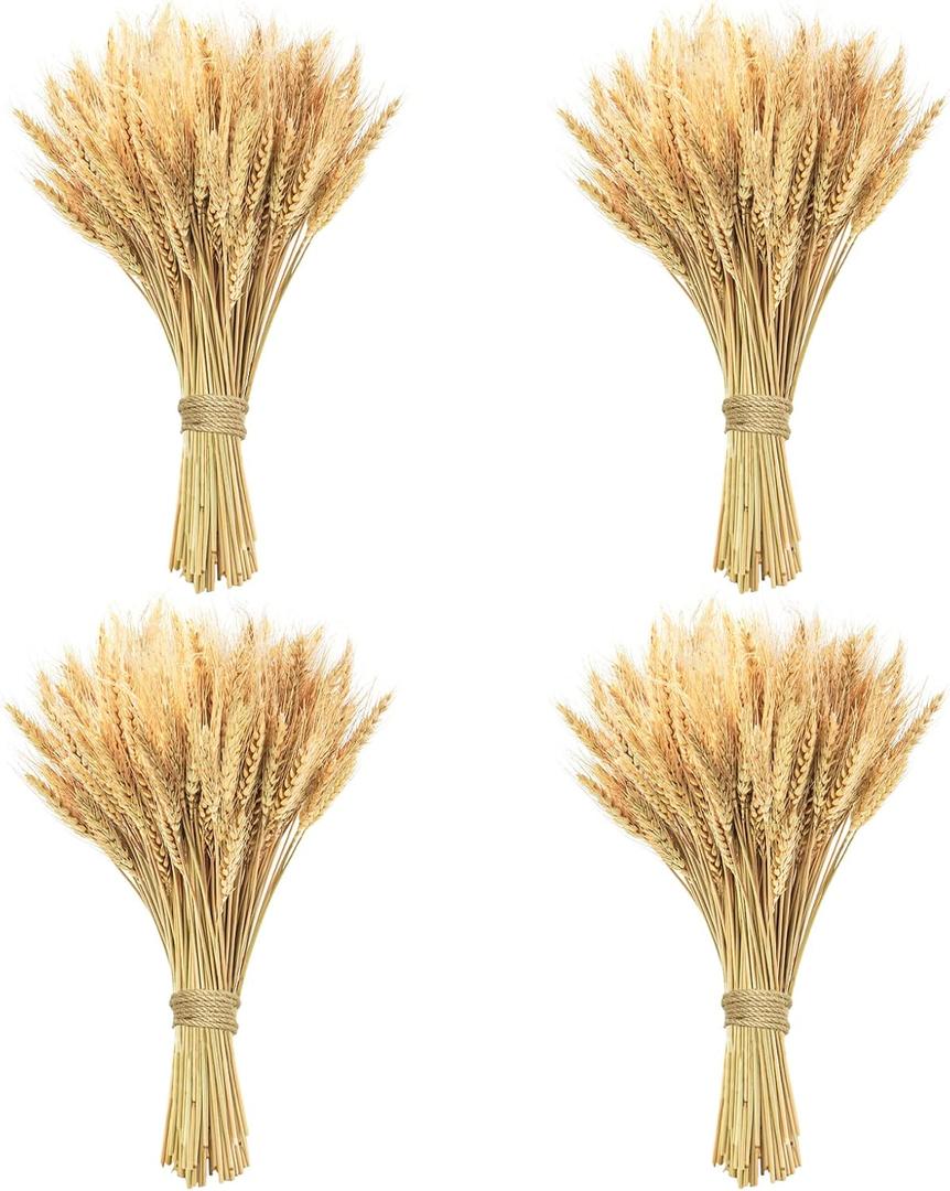 18 inches Natural Dried Wheat Stalks, 400 Stems Wheat Dried Flowers for Vase Home Kitchen Office Spring Flowers Arrangement Wedding Crowns Wreath Table Centerpiece Farmhouse Boho Party Dcor