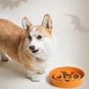 LE TAUCI Ceramic Slow Feeder Dog Bowl for Small Medium Dogs & Puppy, 1.5 Cup Puzzle Food Dish to Slow Down Eating, Pumpkin Orange
