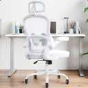 Ergonomic Office Chair,Ultra Thick Office Desk Chair with Adjustable Lumbar Support and Headrest,Spring Cushion,Rocking Function,Flip-up arms,Mesh Computer Chair for Home Office,White, 21.2" W x 20.5" D x 24.8" W x 24.8" D x 50.3" H