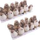 Warmtree 24 Pcs Artificial Simulation Birds Feather Mini Bird Decorative Fake Birds for Christmas Tree Craft Home Ornaments Garden Wedding Decoration (Set B)