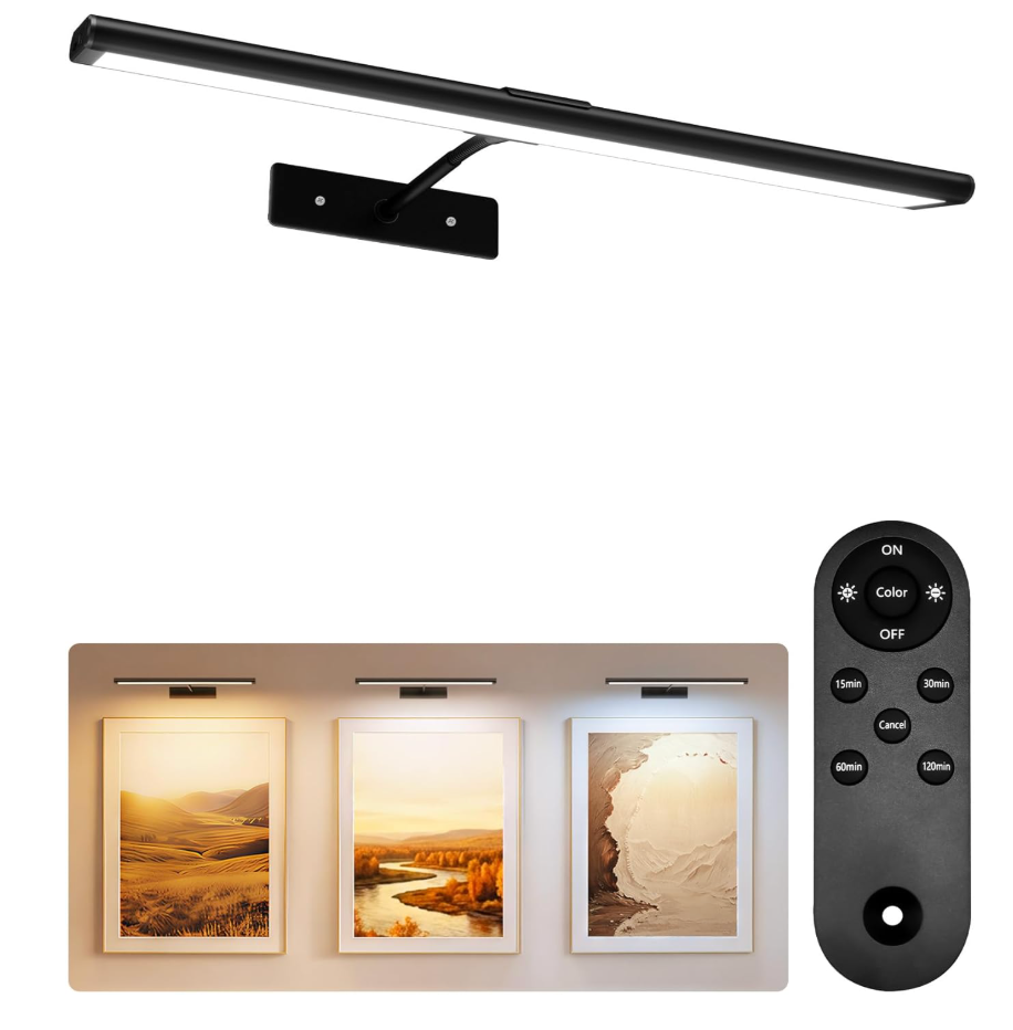 EZVALO Picture Light for Wall, 4800mAh 16'' Rechargeable Wireless IR Remote Built in Battery Lights for Painting, Dimmable Magnetic LED Art Display Light, Colors Temperatures, for Gallery, Living Room