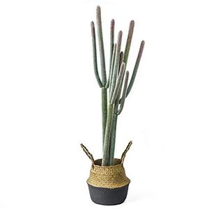 NCYP 4ft (48 Inch) Tall Artificial Cactus in Plastic Planter with Seagrass Basket - Faux Small Saguaro Cacti Potted for Home, Room, Office, Indoor Farmhouse Floor Decor, Fake Plants