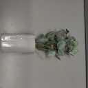 Artificial Eucalyptus Stems in Glass Vase with Faux Water, 13.5" Fake Plants for Home Decor, Coffee Table Centerpieces, Office, Bathroom & Farmhouse Weddings - Faux Greenery Plants Decorations