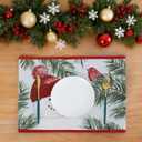 Randall Christmas Snowman Table Placemat Set of 4, Yarn-Dyed Jacquard Fabric Festive Dining Table Decoration for Kitchen Holiday Party & Family Gathering,Xmas Festive Party Supplies,13"18"(Red/Green)