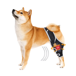 Dog Knee Brace for Acl Injury Recovery, Adjustable, Provides Stable Support for Ligament Strain and Joint Pain, Fits Front or Rear Leg, Ideal for Rehab and Everyday Use, Durable, Comfortable, M
