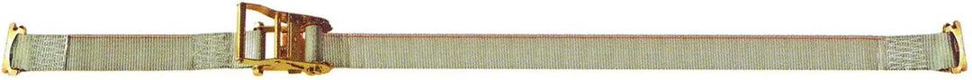 Doleco USA 33500716 Series E Ratchet Strap (1 pc end 16')