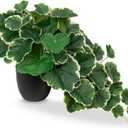 11.2" Small Fake Plants Decor Indoor, Begonia Vines Artificial Plants in Pot for Shelves Home Office Garden, Faux Tropical Potted Plant, Silk Decorative Plants Desk Housewarming Gifts