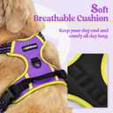 Rabbitgoo Dog Harness No Pull with 2 Leash Clips, Adjustable Soft Padded, Reflective Oxford No Choke Pet Vest with Easy Control Handle for Small Dogs, Purple & Yellow, S