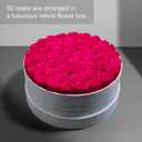 50 Piece Roses in a Velvet Box, Flowers for Delivery, Presereved Flowers Birthday Gifts for Women Mom and Wife (Radiant Pink)