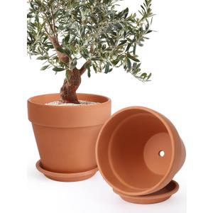 INGOFIN 12 Inch Terracotta Pot Set of 2 with Saucer - Ceramic Clay Pot for Plants with Drainage Hole, Large Terra Cotta Flower Planter with Tray for Indoor Outdoor Plants, 12/12 inch -2 pcs