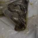 A-Premium Engine Exhaust Manifold Kit W/Gaskets & Studs & Nuts [DOHC 4Cyl 2.0 2.4L] Compatible with Hyundai Tucson 2010-2013 & Kia Sportage 2011-2012, Replace# 285002G300