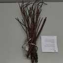 LITBLOOM Lighted Brown Willow Branches 32IN 100 LED with Timer Battery Operated, Tree Branch with Warm White Lights for Holiday Christmas Decoration Indoor Outdoor Use