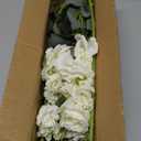 34.5" White Artificial Flowers Silk Fake Flower 3Pcs Eustoma Lisianthus Flowers with Long Stem Faux Flowers Arrangement Branch with 4 Heads for DIY Wedding Party Centerpiece Bouquet Table Home Decor