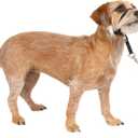 PetSafe Gentle Leader Headcollar No-Pull Dog Collar - Helps Improve Walks - Durable Nylon Construction - Padded Nose Loop - Adjustable Fit - Comfort Walking Halter - Small, Black