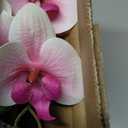 Briful Orchids Artificial Flowers 15" Light Pink Phalaenopsis Orchid with Silver Pots Real Touch Faux Orchid Plant for Home Office Bathroom Living Room Decoration