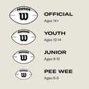 WILSON NFL Recreational Footballs (Official, Gray)