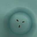 1Gallon No Spill Dog Water Bowl-3.8L Large Capacity, BPA-Free, Anti-Splash & Anti-Digging Design with Non-Slip Base for Messy Drinkers (Smoky)