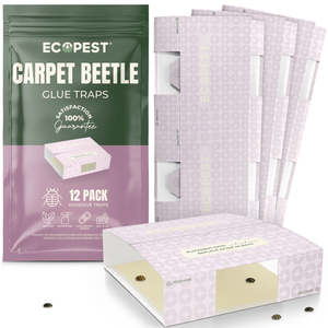 Carpet Beetle Traps – 12 Pack | Sticky Indoor Glue Boards for Carpet Beetles, Larvae & Other Crawling Insects | NonToxic Pest Control Trap & Monitor for Closets, Storage Areas, and More