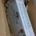 Bamboo Baby Diapers, Totally Chlorine Free for Sensitive Skin for Newborns to XXL. Hypoallergenic & Non Toxic Eco Friendlier Plant-Based Materials. TCF Medium Size 2 to 3 Diapers (192 ct)