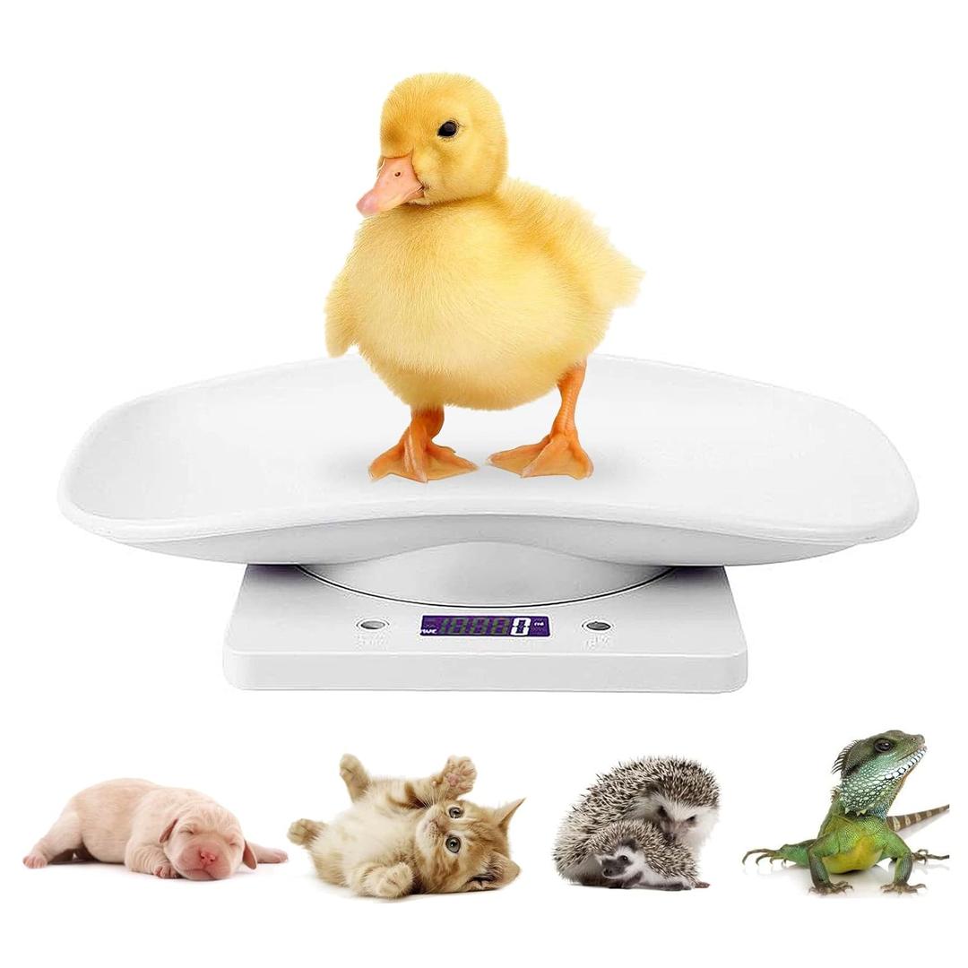 Digital Mini Pet Scale, Small Animal Weight Scale, Portable LCD Electronic Weighing Scale with Tray(Max. 22 lbs), Multifunction Kitchen Scale for Food/Puppy/Kitten/Lizard/Hamster/Tortoise/Whelping