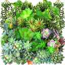 Tigeen 80 Pcs Artificial Plastic Succulents Realistic Textured Assorted Decorative Faux Succulent Fake Faux Succulents Unpotted for Lotus Landscape Garden Arrangement (Lovely Style)