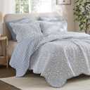 Madison Park 3-Piece Reversible Quilt Set, Botanical Print & Scalloped Edge, Lightweight Summer Bedding, King, Blue | Lightweight