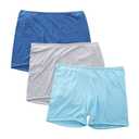 Hanes Ultimate Women's 4-Pack Hi-Cut Panties 7/L