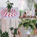 PATIKIL 1 Inch x 50 Feet Natural Twisted Cotton Rope 3 Strand Strong Thick Cotton Rope Tug of War Rope for Railings Crafts Games Home Decor, Red White