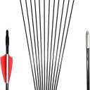GPP Archery Beginner's First Arrows (30" Fiberglass Target Archery Arrows) - 12 Pack
