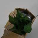 RECUTMS Ivy Fake Vines for Room Decor 12 Pack 86 FT Artificial Plant with 100 LED String Light Bedroom Aesthetic Hanging Greenery Garlands Backdrop Leaves for Wall Wedding Party Home Garden Decor