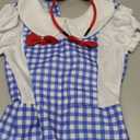 fun shack Dorothy Costume for Girls, Wizard of Oz Costumes for Kids, Girls Halloween Costume, Halloween Costume for Kids, Small