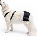 Ortocanis - Hip Support for Dogs with Hip Dysplasia or Osteoarthritis (M)
