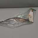 Flat Longhorn Skull Wall Decor Wooden Longhorn Cow Door Sign Large Farmhouse Printed Pendant Decor Realistic Style Wooden Cow for Christmas Holiday Front Door Porch Wall