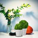 DOITOOL Simulated Mossy Ball Artificial Plant Topiary Ornament for Home Decor 1.85 Inch Green Decorative Moss Sphere Lightweight Indoor Outdoor Use