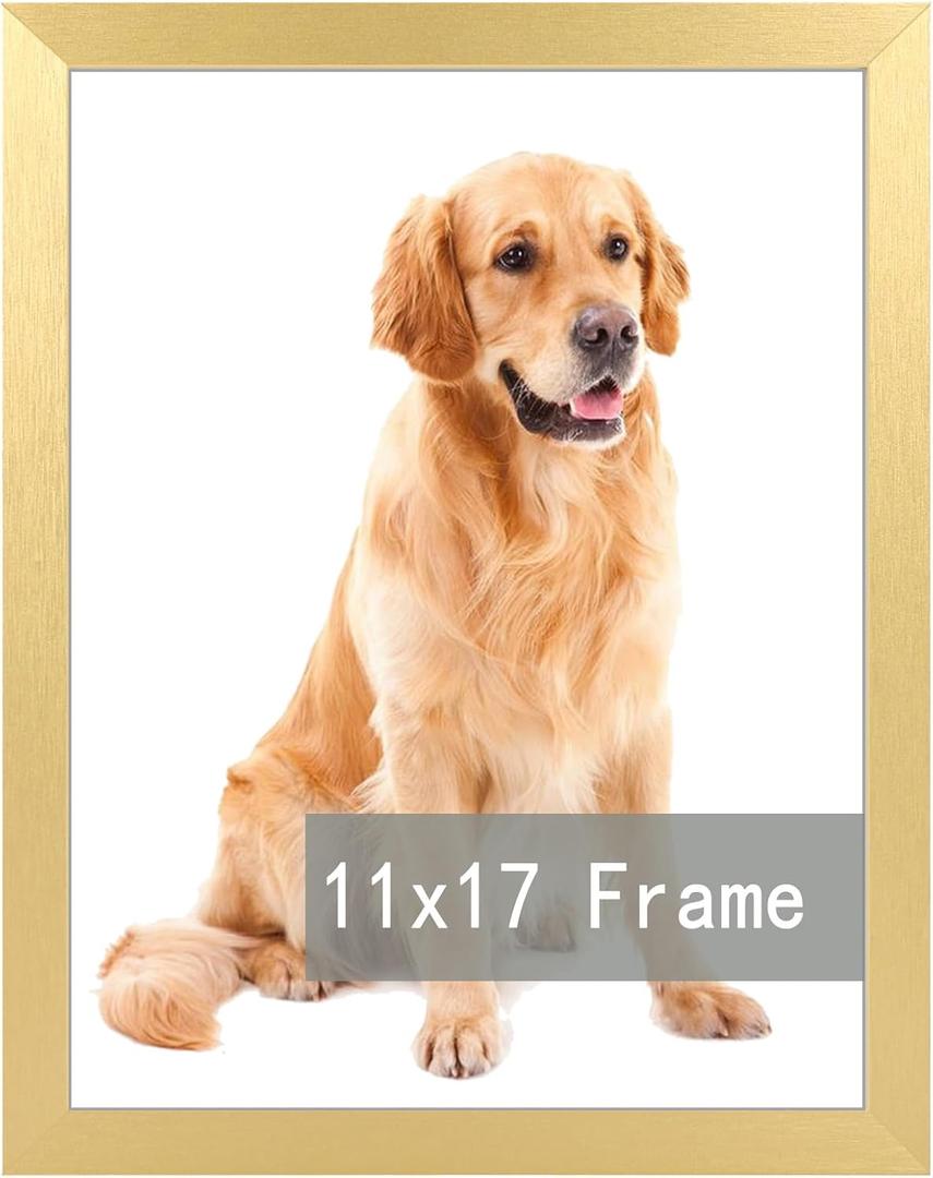 RUN HELIX 11x17 Picture Frame for 11by17 Poster Photo Canvas Certificate Black High Transparent Poster Frame Wall Desktop Horizontal Vertical 11 x 17,Gold