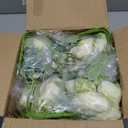 MARTINE MALL 8 Packs Peonies Artificial Flowers, Champagne Artificial Peonies, Silk Peonies Flowers Fake Peonies Artificial Flowers Peonies Bouquet for Centerpiece Table Wedding Party Home Decor