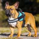 Haapaw Essential Dog Harness, No Pull Pet Vest with 3 Leash Clips, No Choke, Reflective, Adjustable and Padded, for Easy Walking and Training for Small Dogs (S, Blue)