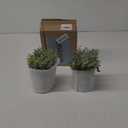 Winlyn Set of 2 Small Potted Plants Artificial Eucalyptus Plant in Black Geometric Ceramic Pots Faux Potted Greenery 7.1" Tall for Desktop Modern Home Office Living Room Kitchen Table Decorations